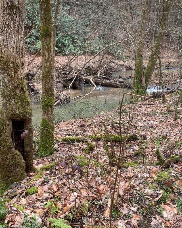 5 Gold Mine Road Pine Ridge, KY 41360 - Photo 4 of 12 Photo 4