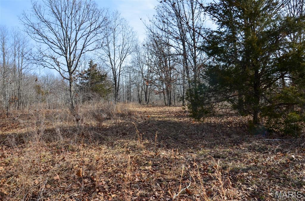 10331 Hopkins Road Potosi, MO 63664 - Photo 27 of 76