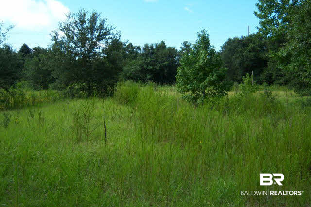 19025 Keller Road Foley, AL 36535 - Photo 1 of 1