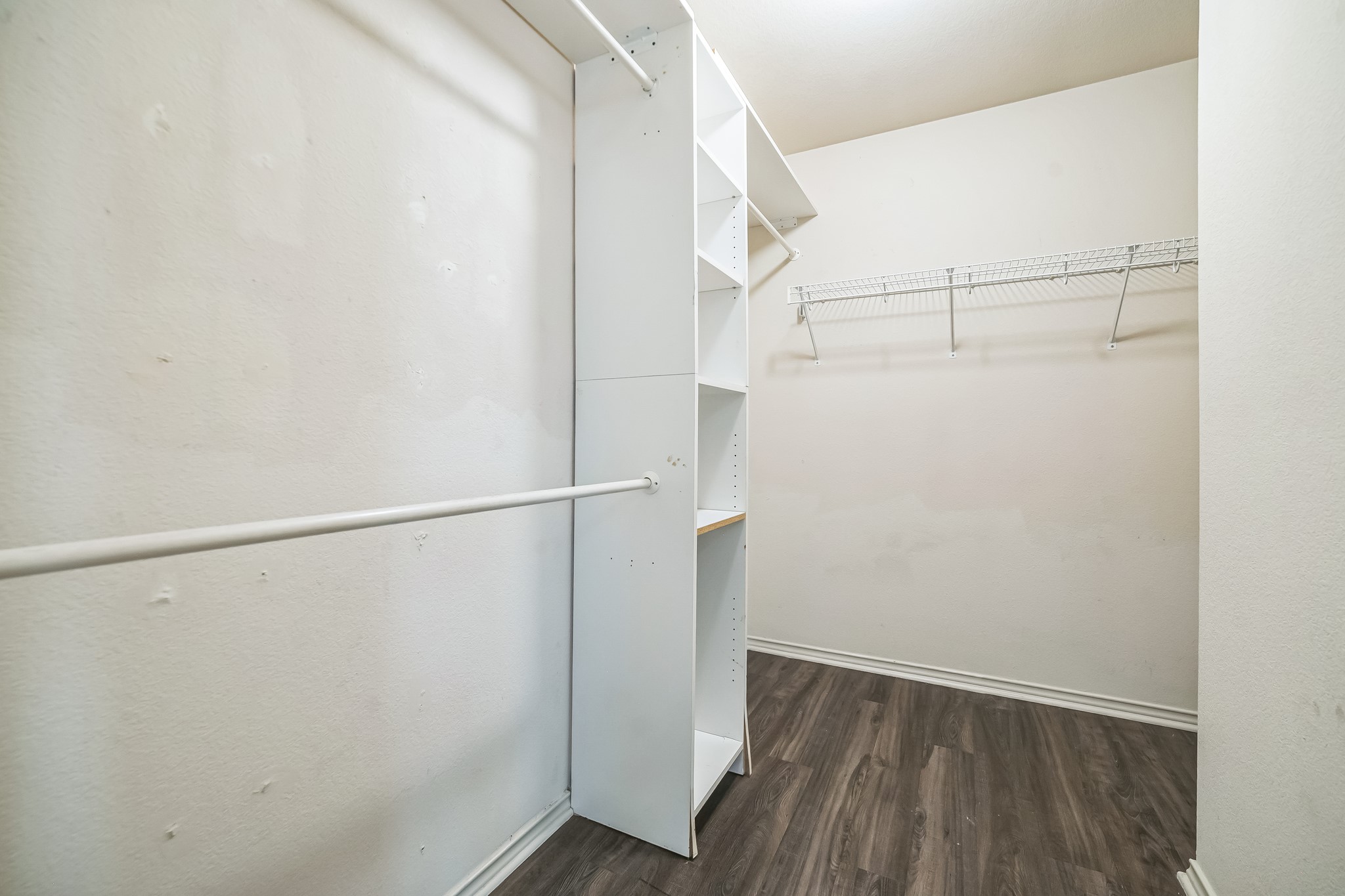 3630 Spring Canyon Trail Round Rock, TX 78681 - Photo 11 of 23 Walk in closet with dark wood-type flooring