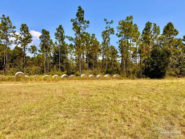 $175,000 | Lot 27 Morgans Branch, Molino, FL 32577