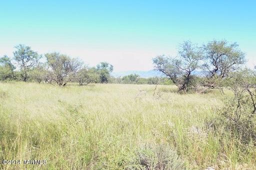 0 Yucca Ash Farm Road East, Unit 2 Sonoita, AZ 85637 - Photo 9 of 10