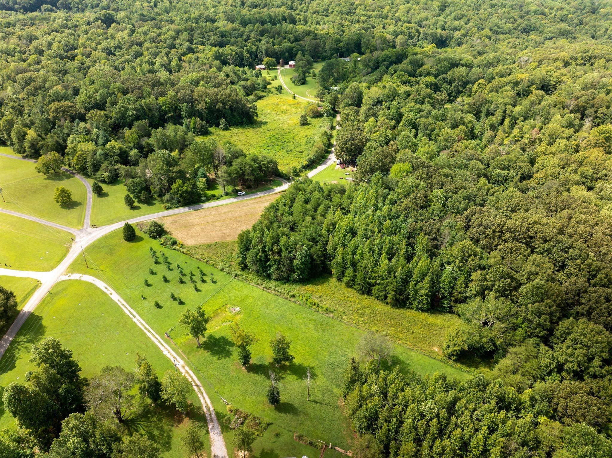 0 Jordan Road Chapmansboro, TN 37035 - Photo 12 of 14 a view of a garden