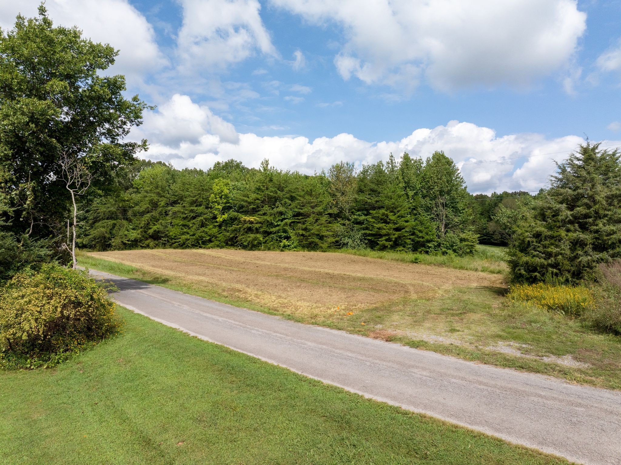 0 Jordan Road Chapmansboro, TN 37035 - Photo 2 of 14 a view of yard with swimming pool and green space