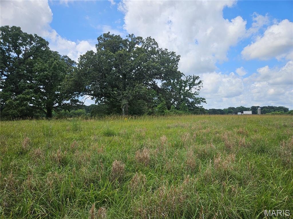 0 Misty Road Pinckneyville, IL 62274 - Photo 7 of 25