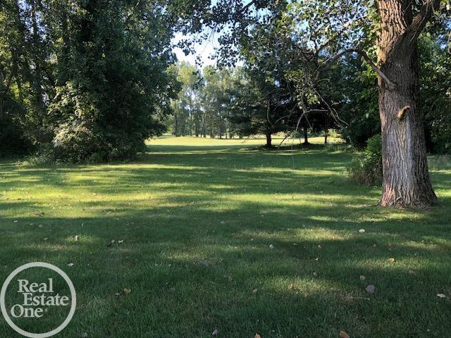 37304 25 Mile Road New Baltimore, MI 48047 - Photo 12 of 42 50051686-11.JPG