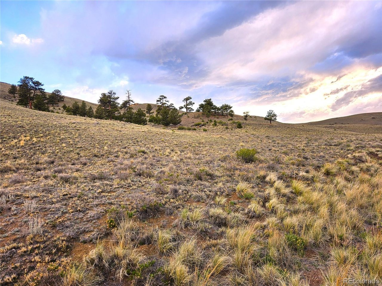 25427 Yuma Road Hartsel, CO 80449 - Photo 6 of 31