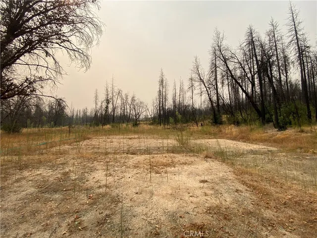 $10,000 | 0 Simpson Ranch, Berry Creek, CA 95916