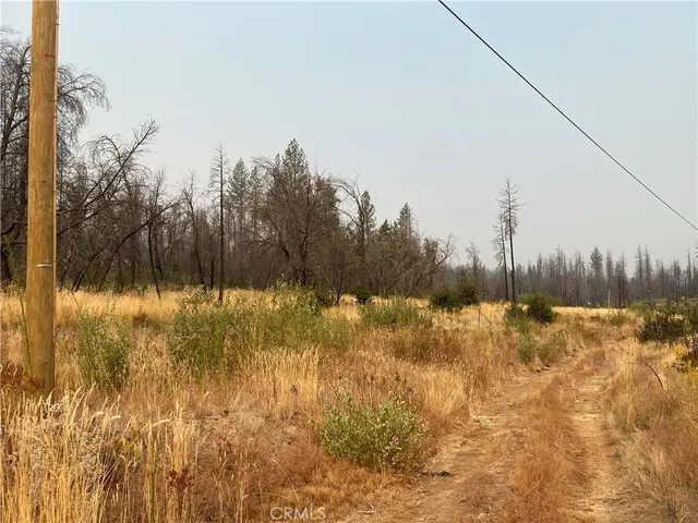 $10,000 | 0 Simpson Ranch, Berry Creek, CA 95916