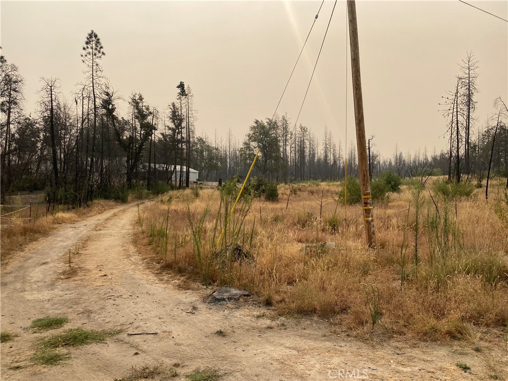 0 Simpson Ranch Berry Creek, CA 95916 - Photo 5 of 9