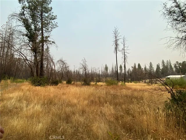 $10,000 | 0 Simpson Ranch, Berry Creek, CA 95916