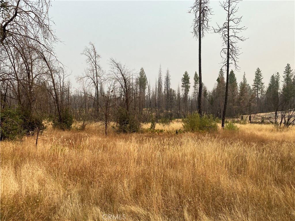 0 Simpson Ranch Berry Creek, CA 95916 - Photo 9 of 9