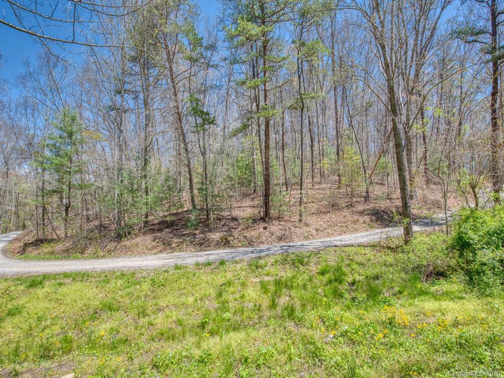 Lot #1 Mary Ruth Way Clyde, NC 28721 - Photo 1 of 22