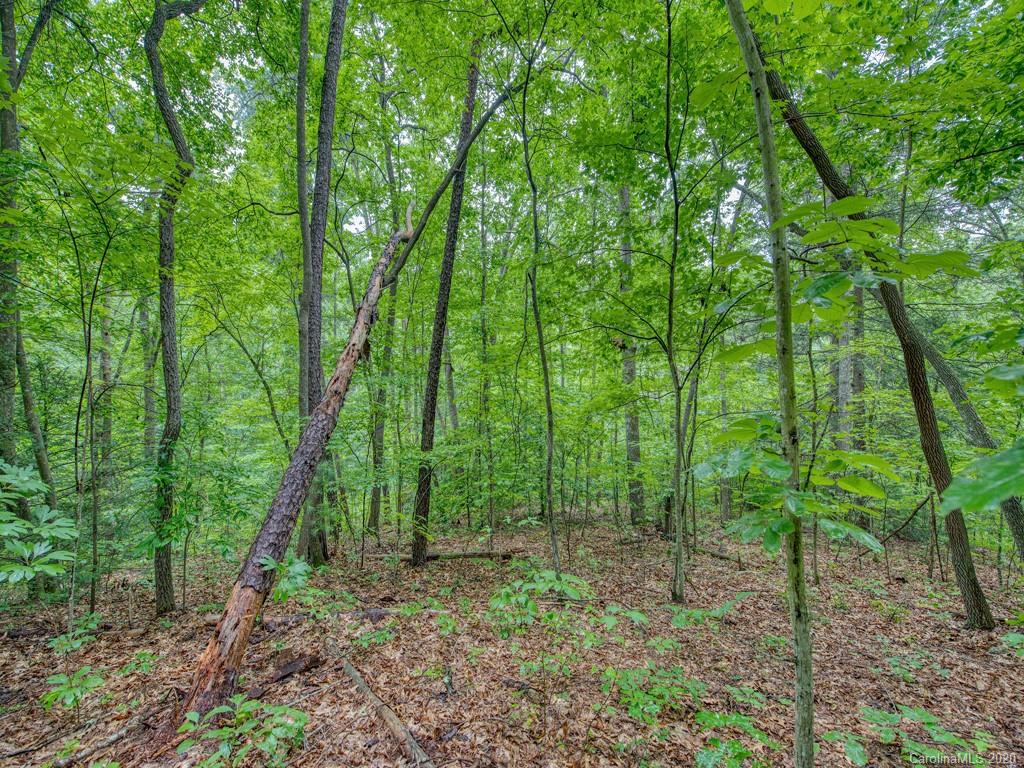 Lot #1 Mary Ruth Way Clyde, NC 28721 - Photo 14 of 22