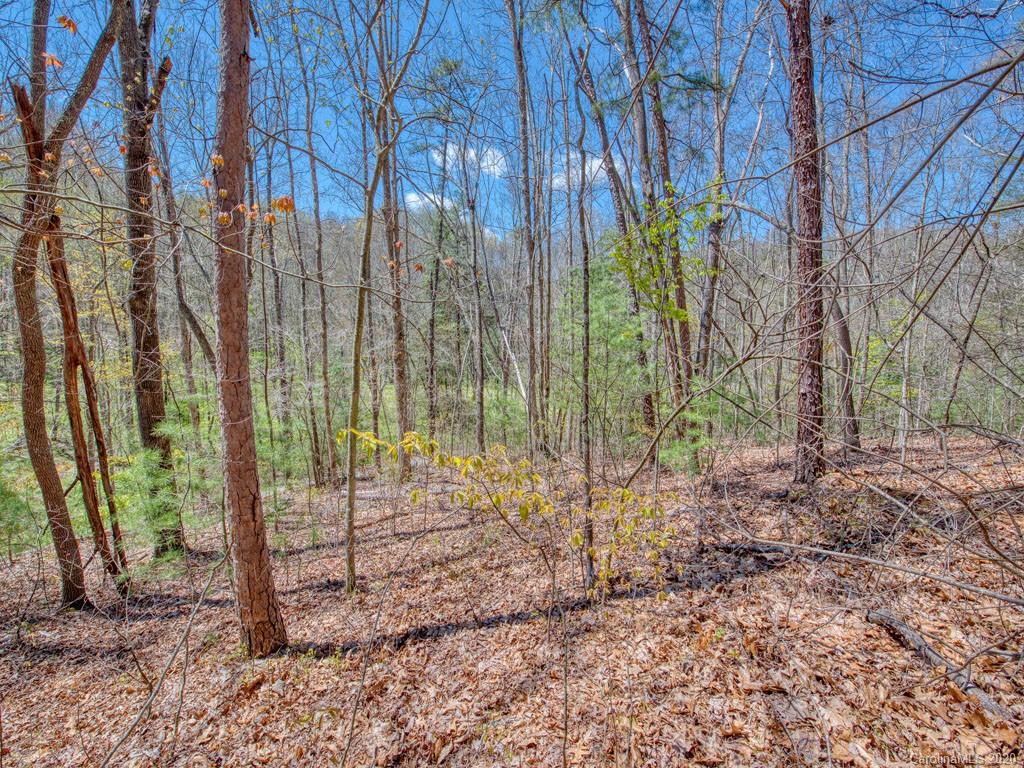 Lot #1 Mary Ruth Way Clyde, NC 28721 - Photo 3 of 22