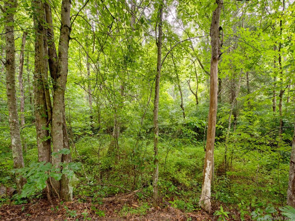 Lot #1 Mary Ruth Way Clyde, NC 28721 - Photo 22 of 22