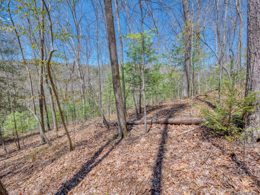 Lot #1 Mary Ruth Way Clyde, NC 28721 - Photo 4 of 22