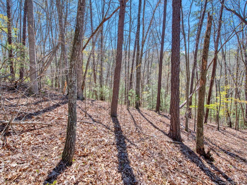 Lot #1 Mary Ruth Way Clyde, NC 28721 - Photo 5 of 22