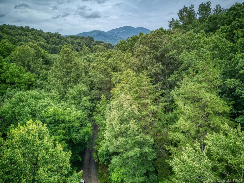 Lot #1 Mary Ruth Way Clyde, NC 28721 - Photo 7 of 22