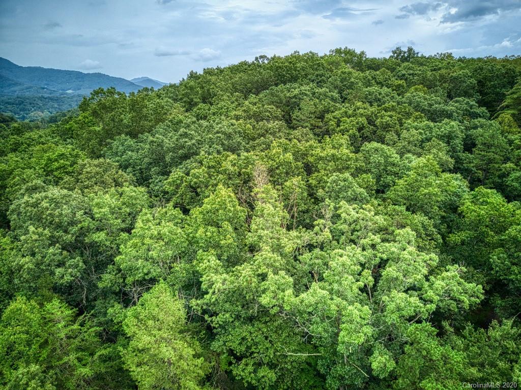 Lot #1 Mary Ruth Way Clyde, NC 28721 - Photo 8 of 22