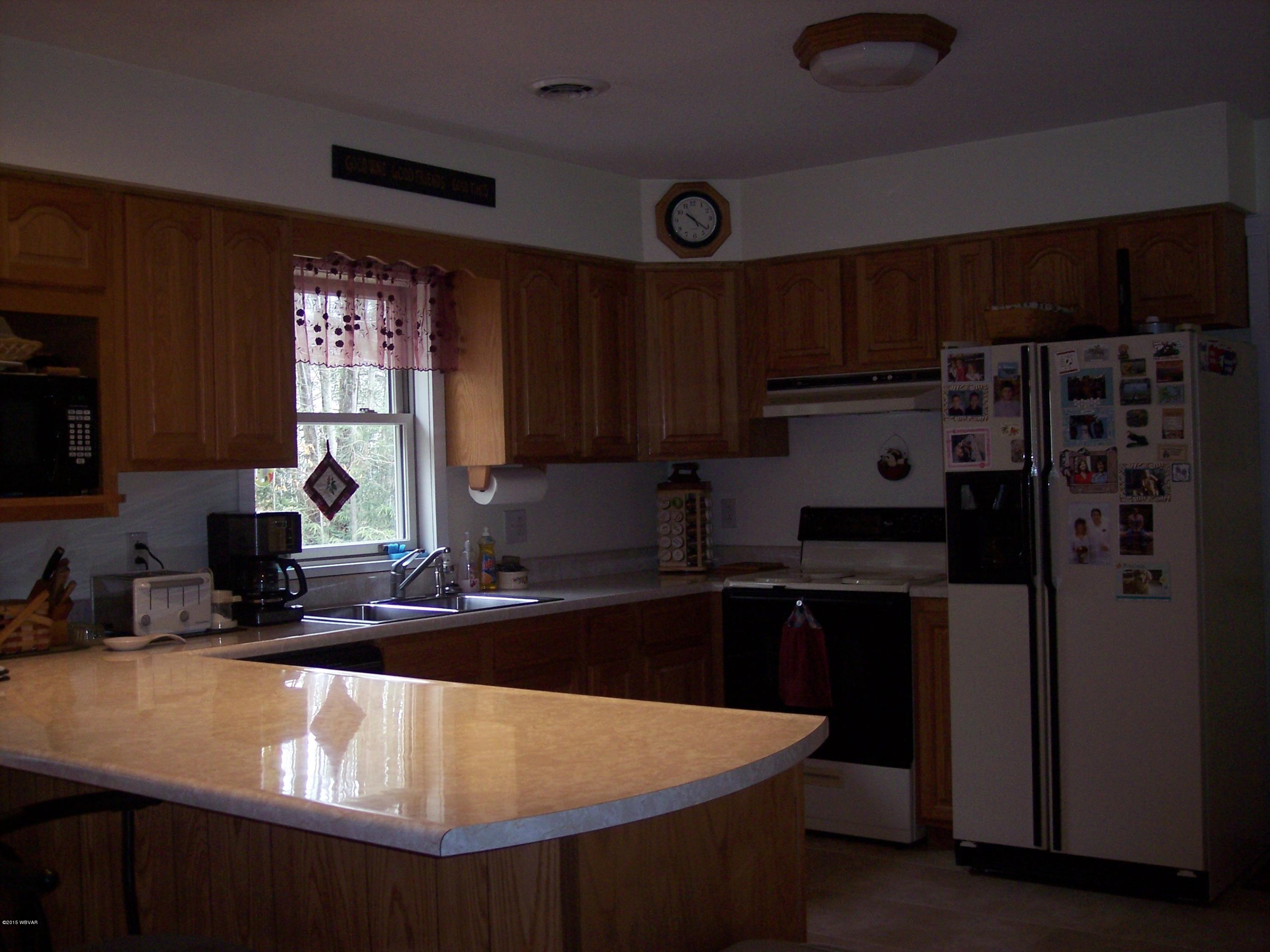39 Lehman Road Allenwood, PA 17810 - Photo 10 of 14 Kitchen view 2