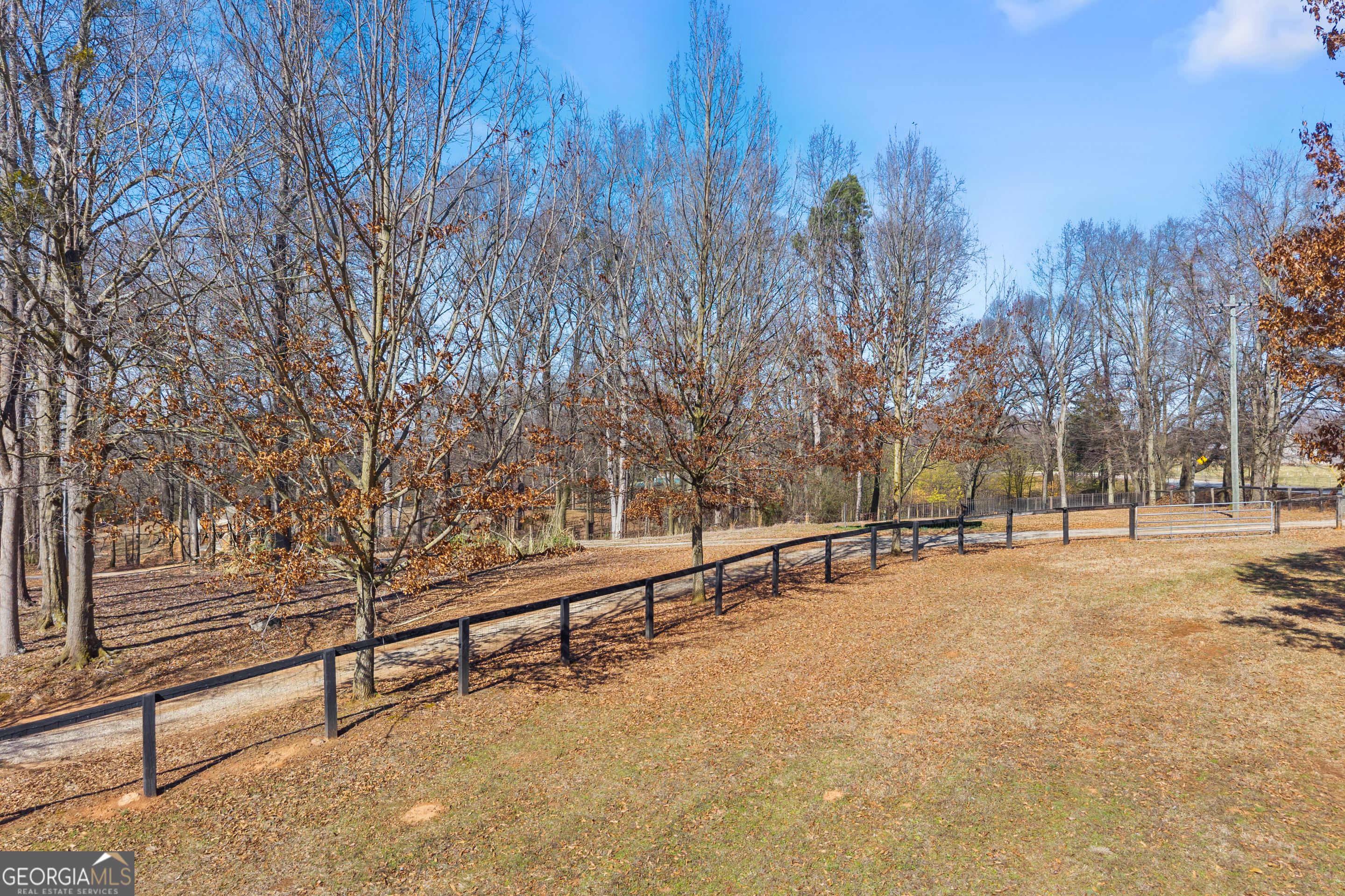 2565 New Franklin Church Road Canon, GA 30520 - Photo 161 of 168 a view of outdoor space and trees