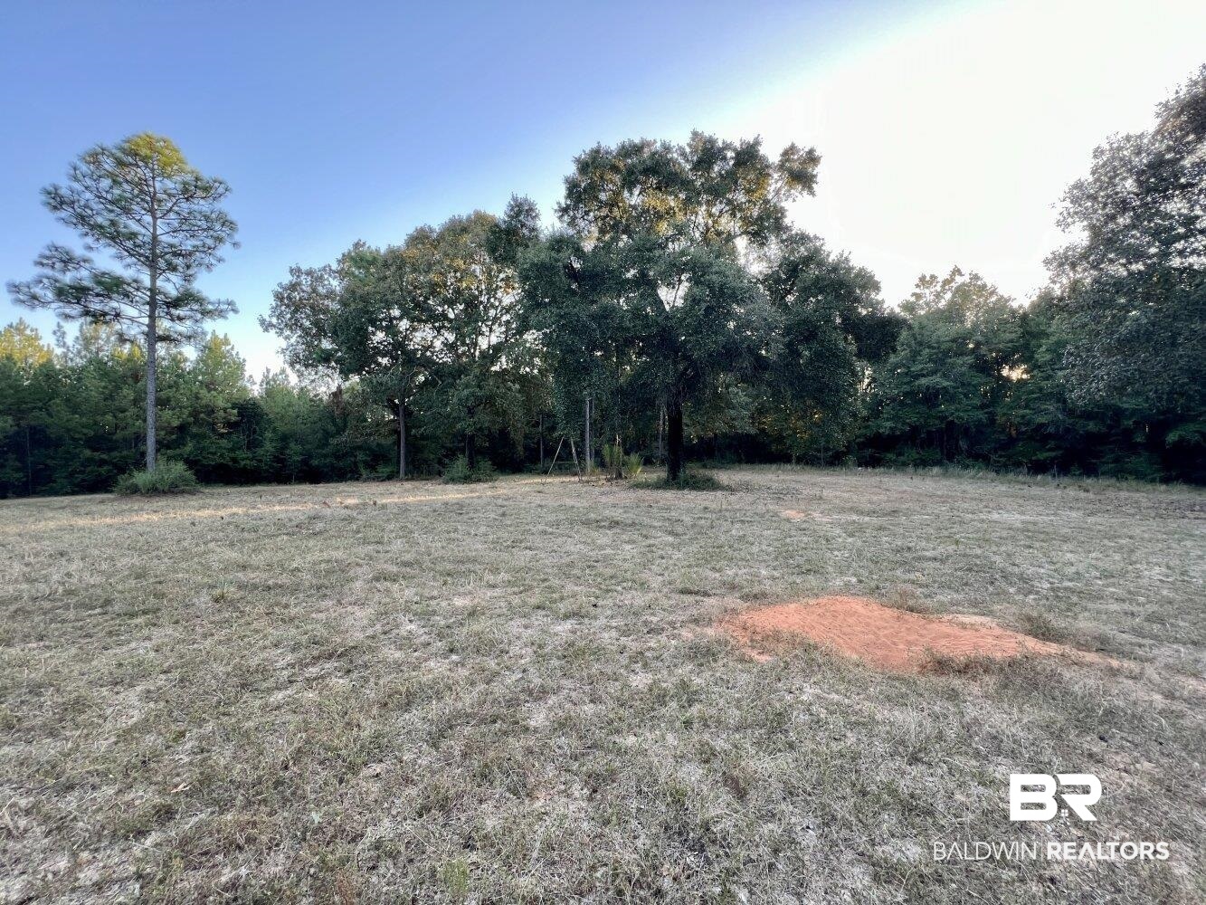 0 Howell Drive Mount Vernon, AL 36560 - Photo 21 of 50