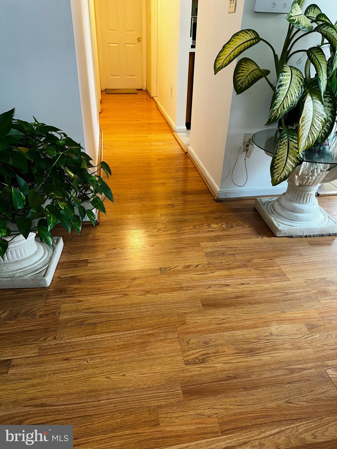 2838 Pennsylvania Avenue Baltimore, MD 21227 - Photo 27 of 32