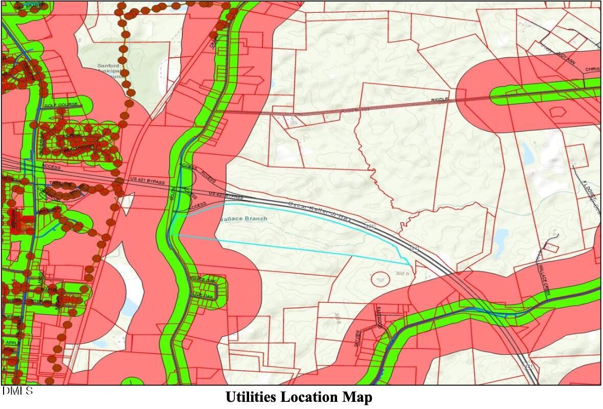 0 Colon Road Sanford, NC 27330 - Photo 3 of 10