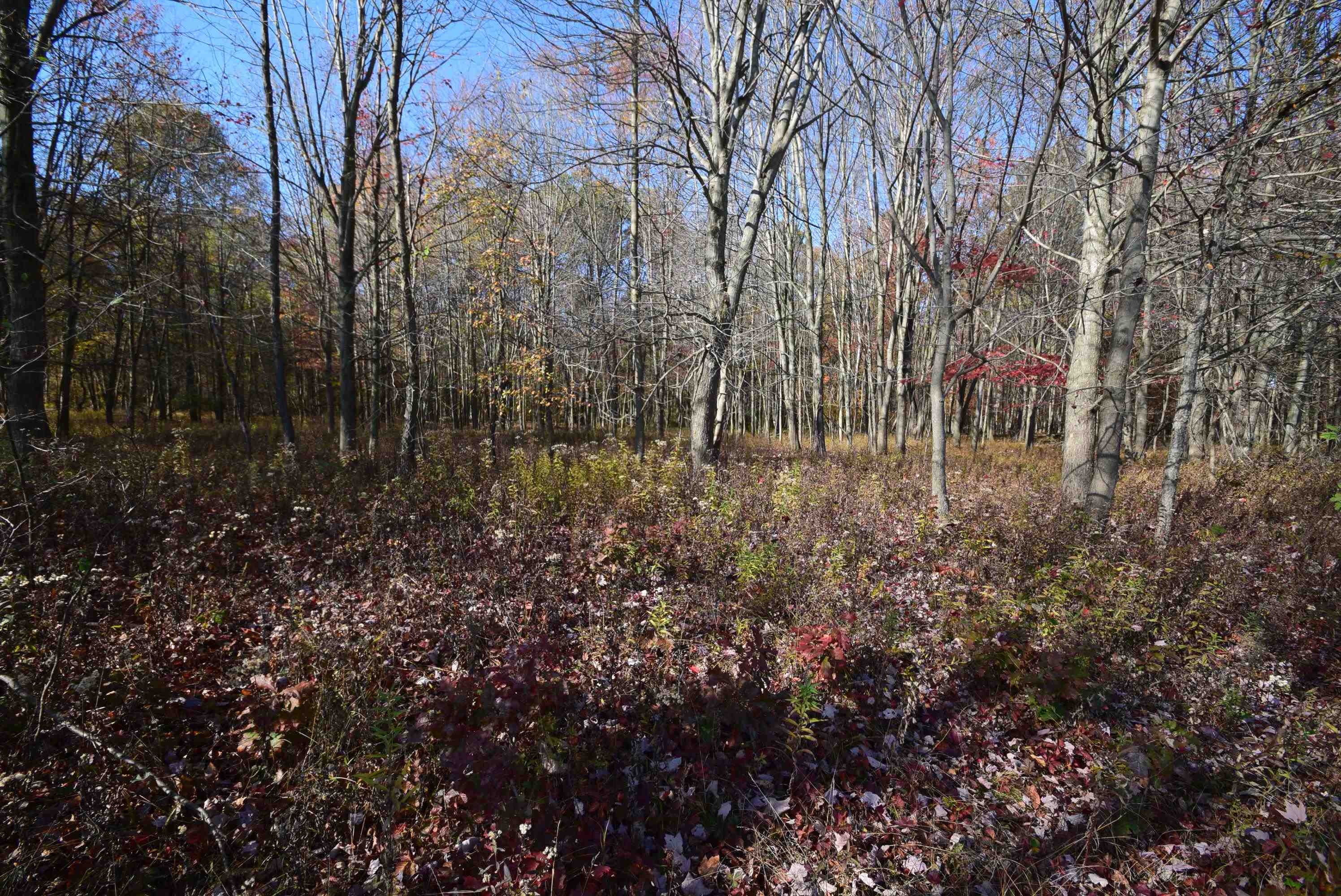 Eleven North Mile Road Sanford, MI 48657 - Photo 10 of 13