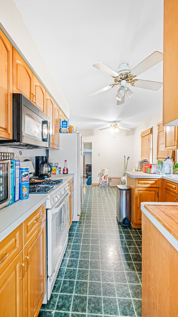 1525 Elm Street Park Ridge, IL 60068 - Photo 11 of 44