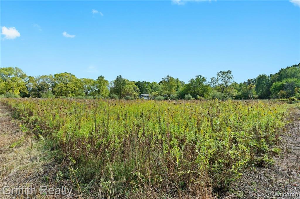 9800 Beeman Road Chelsea, MI 48118 - Photo 4 of 17