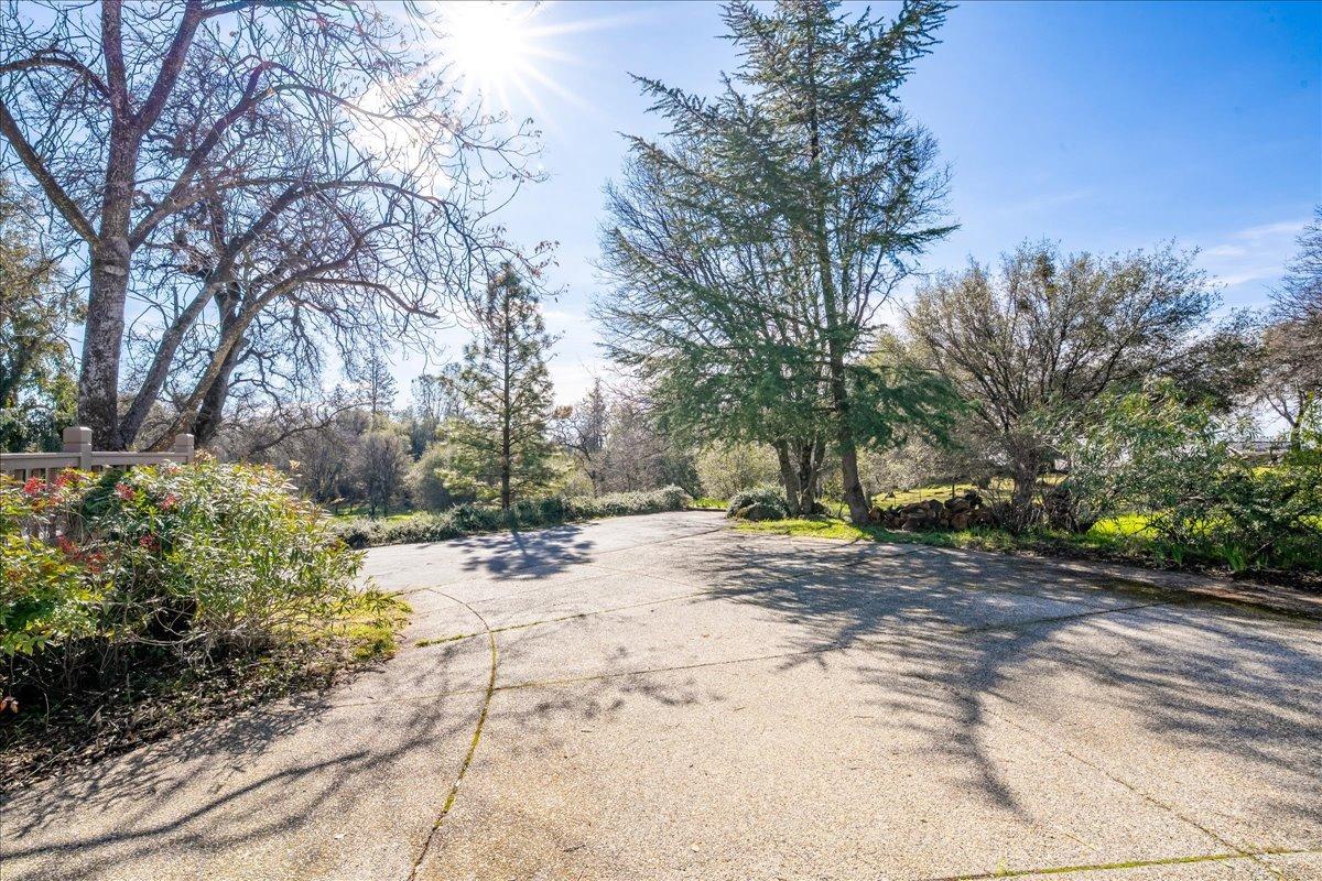 13936 Oak Ridge Road Penn Valley, CA 95946 - Photo 15 of 83 a view of a yard with a tree