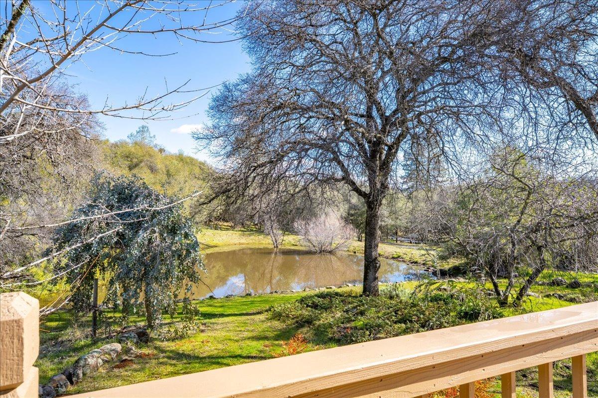 13936 Oak Ridge Road Penn Valley, CA 95946 - Photo 48 of 83 a view of a yard with a tree