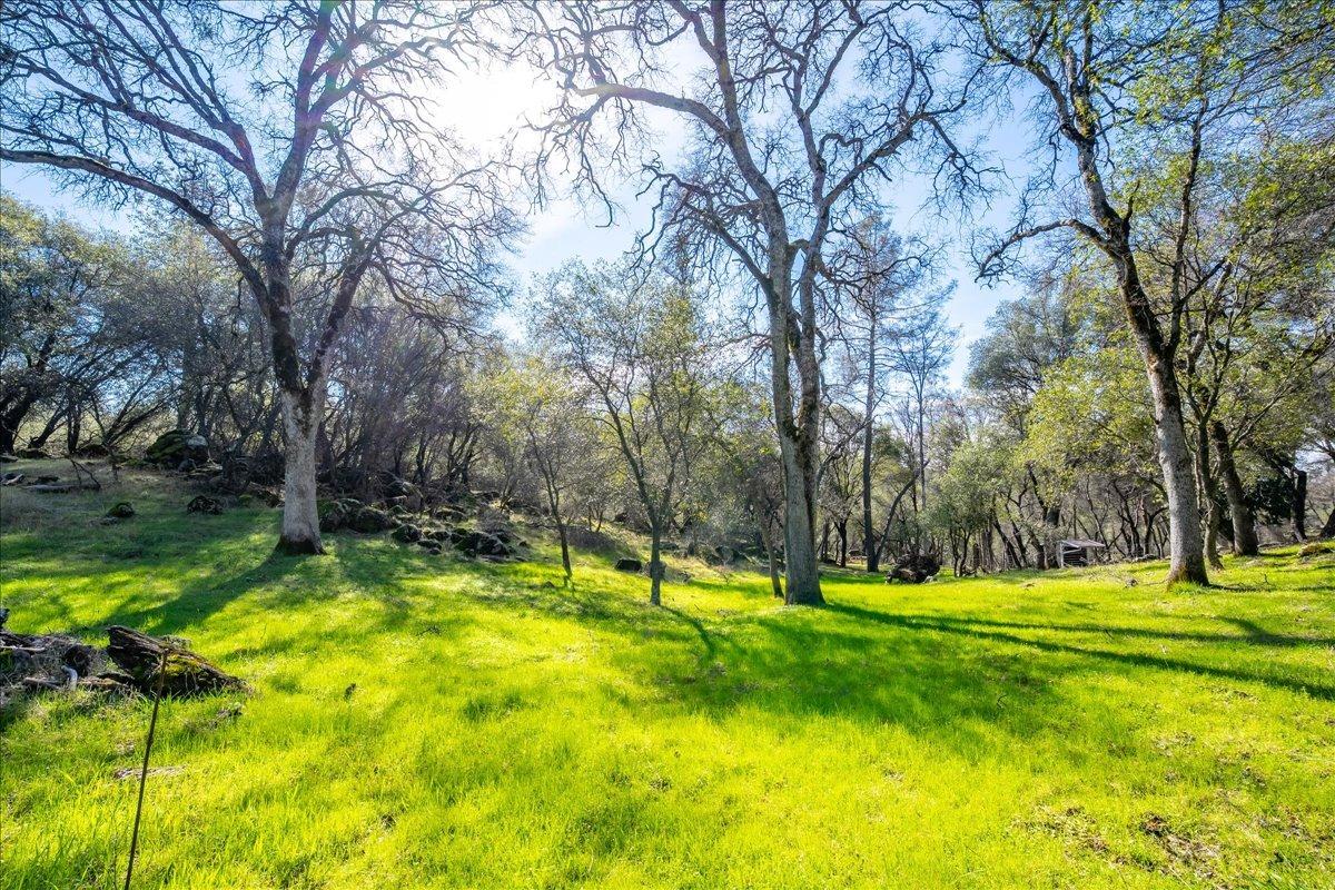 13936 Oak Ridge Road Penn Valley, CA 95946 - Photo 56 of 83 a view of a park with large trees