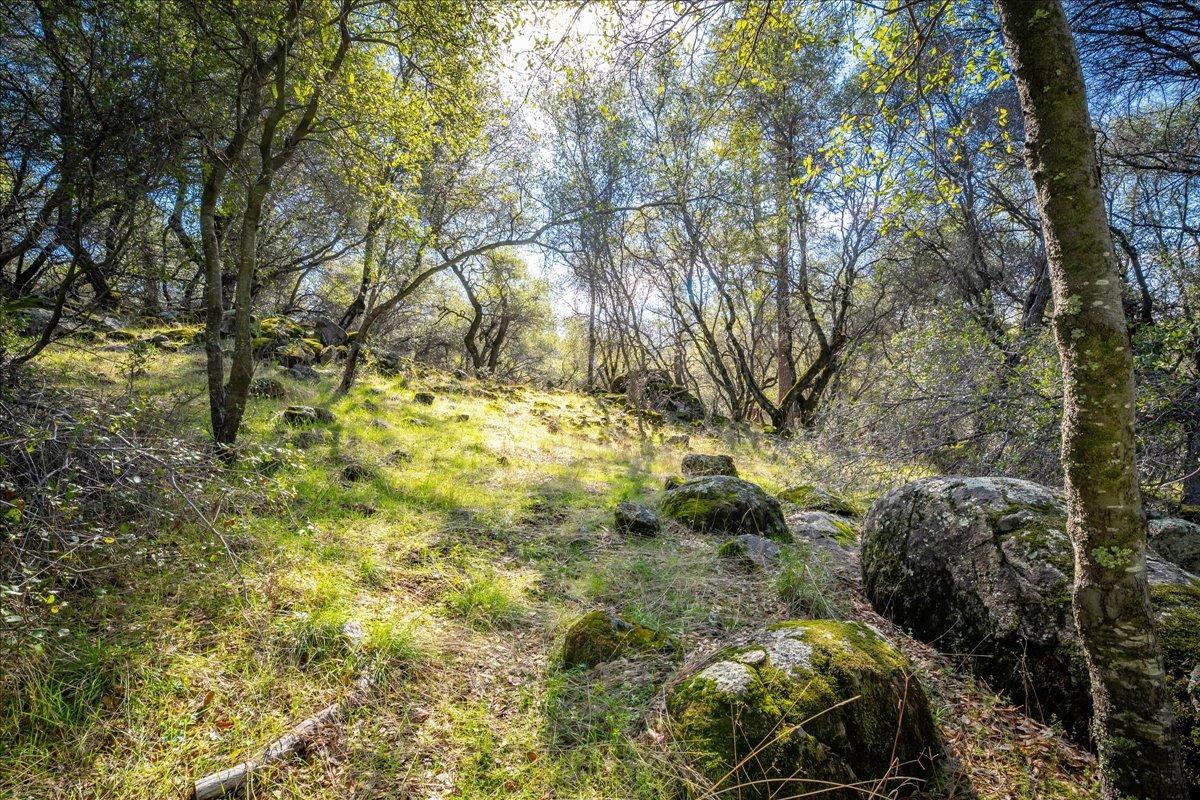 13936 Oak Ridge Road Penn Valley, CA 95946 - Photo 57 of 83