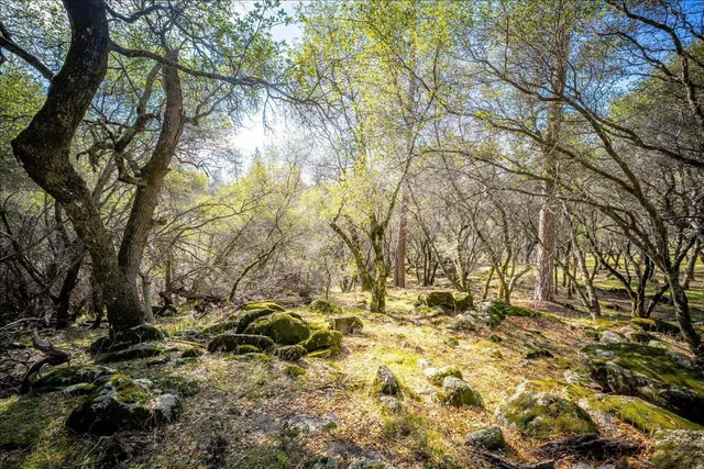 $730,000 | 13936 Oak Ridge Road, Penn Valley, CA 95946