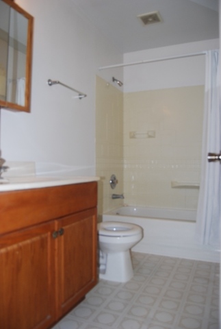 1805 West Southmor Road Morris, IL 60450 - Photo 9 of 13 a bathroom with a toilet a sink and shower
