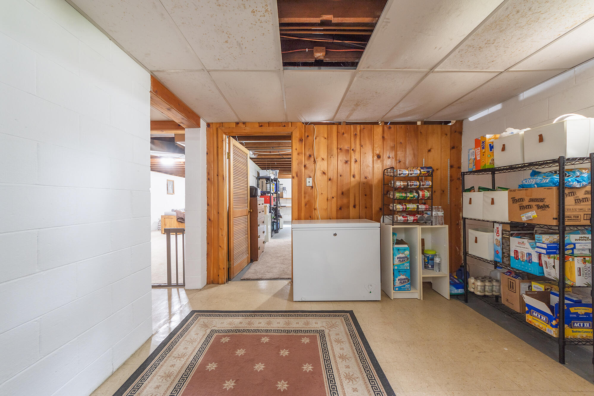 3011 Olney Road Kalamazoo, MI 49006 - Photo 20 of 30 Downstairs