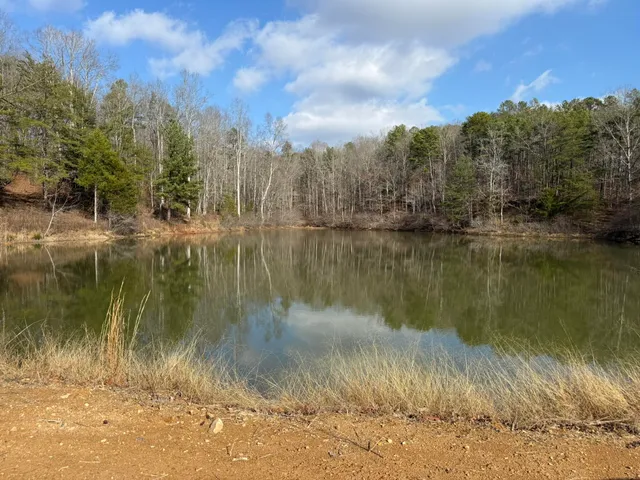 $200,000 | 18.75-ac Grant Road, Trenton, GA 30752