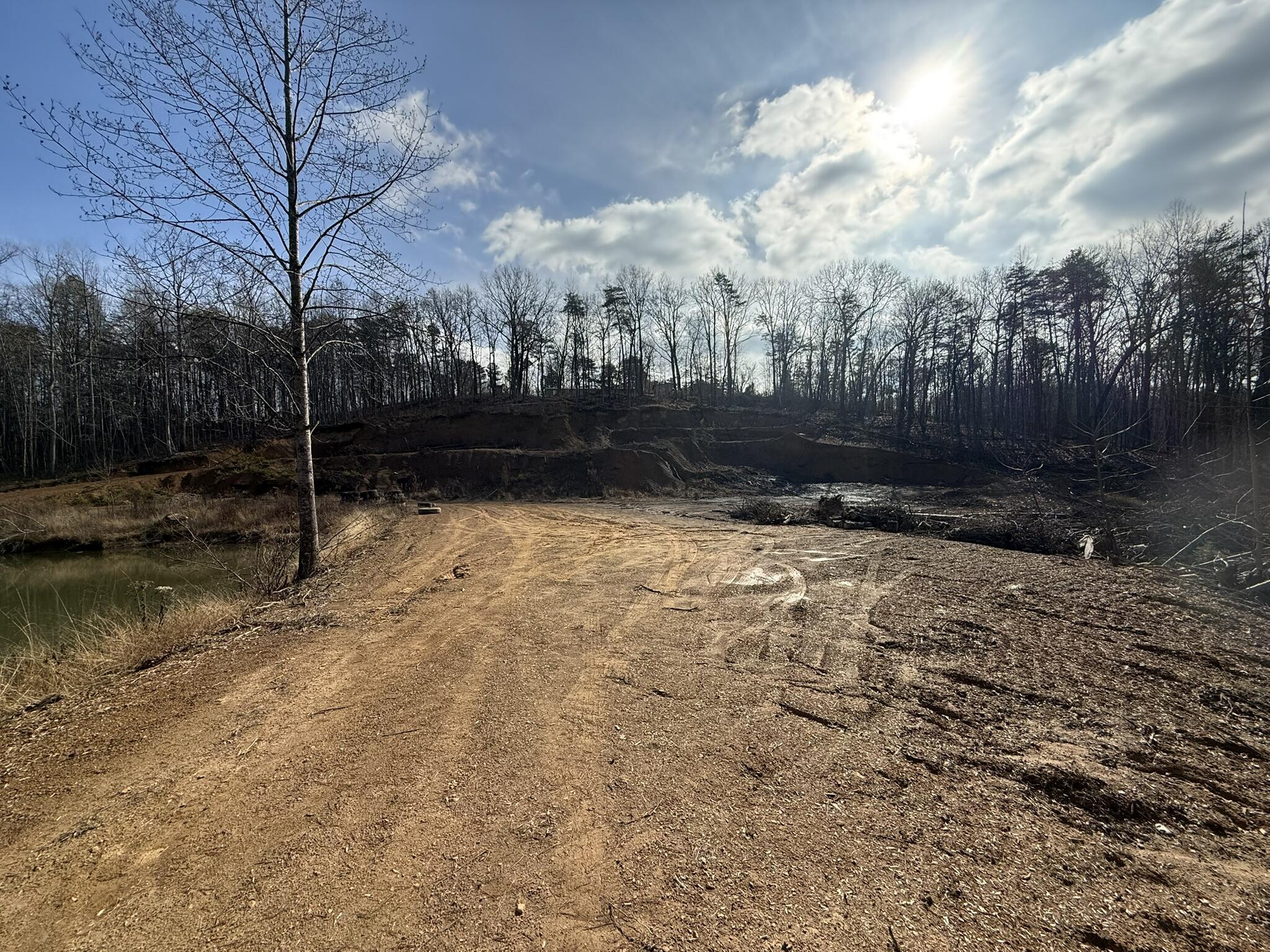 18.75-ac Grant Road Trenton, GA 30752 - Photo 11 of 23 IMG_0371