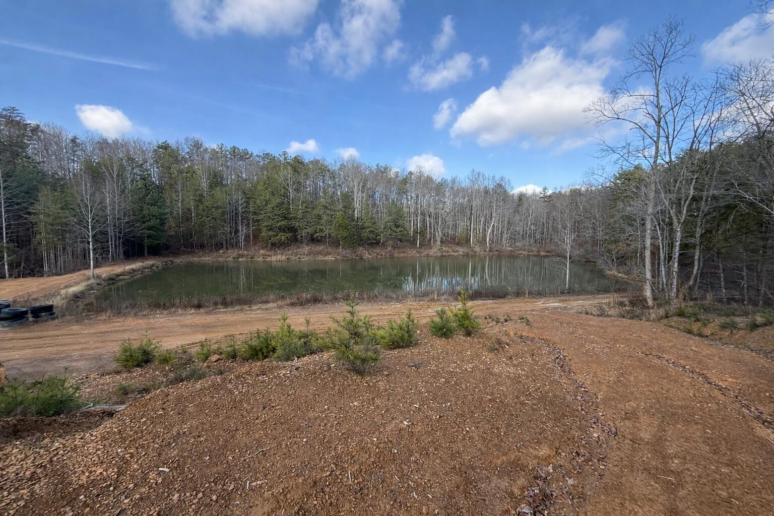 18.75-ac Grant Road Trenton, GA 30752 - Photo 6 of 23 2222