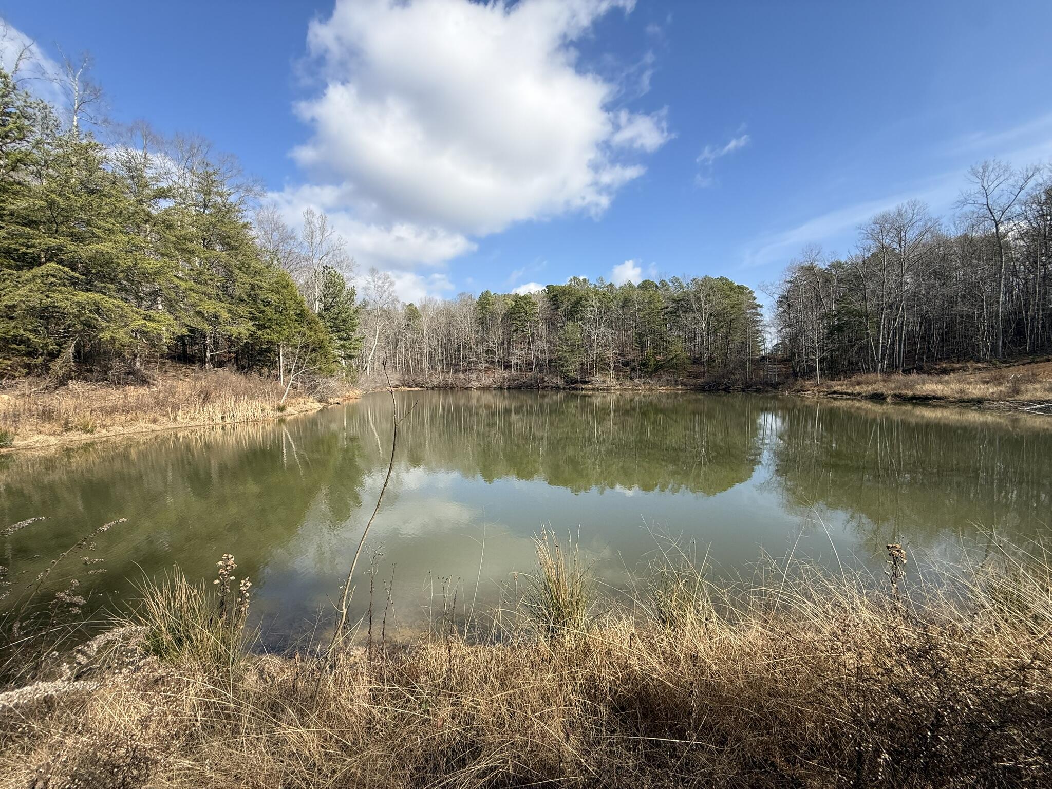 18.75-ac Grant Road Trenton, GA 30752 - Photo 8 of 23 IMG_0366