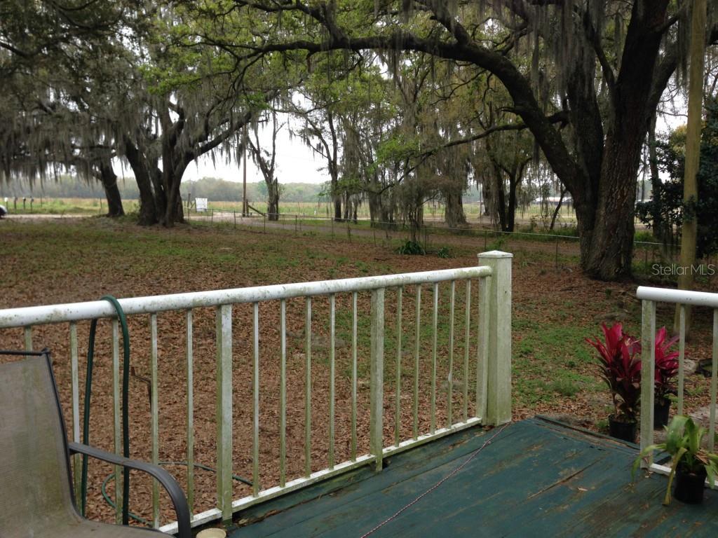 5310 Berry Patch Road Dover, FL 33527 - Photo 1 of 1