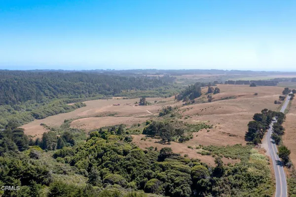 a view of a yard with a tree