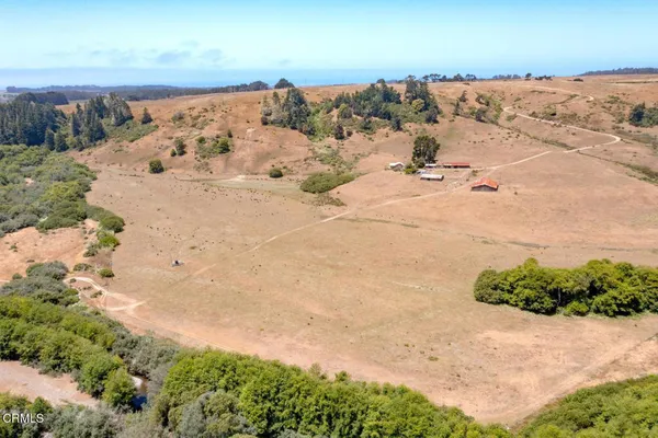 a view of a lush green hillside and a houses