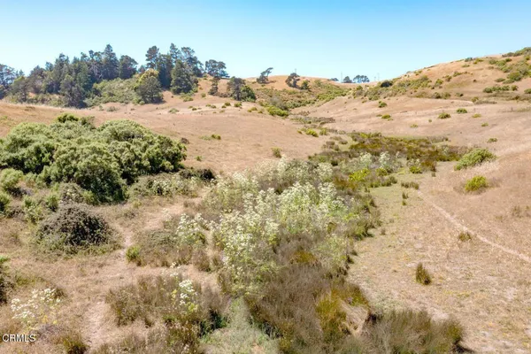 a view of a dry yard with mountain