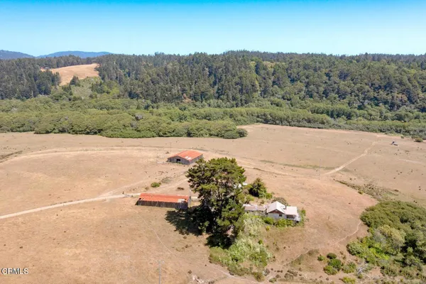 a view of a park with large trees