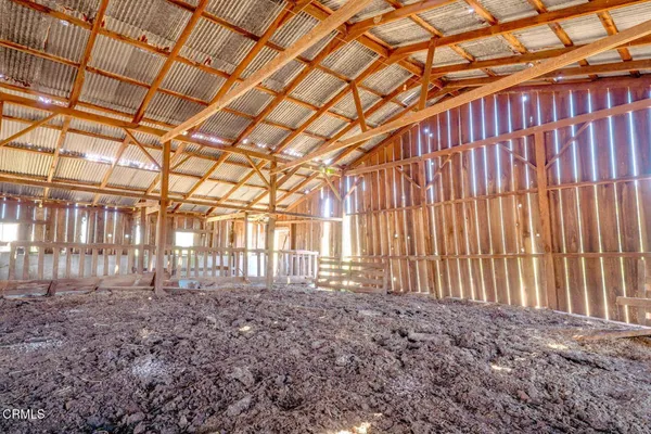 an aerial view of a forest