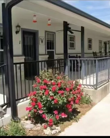 a view of a potted flower in a yard of front of a house